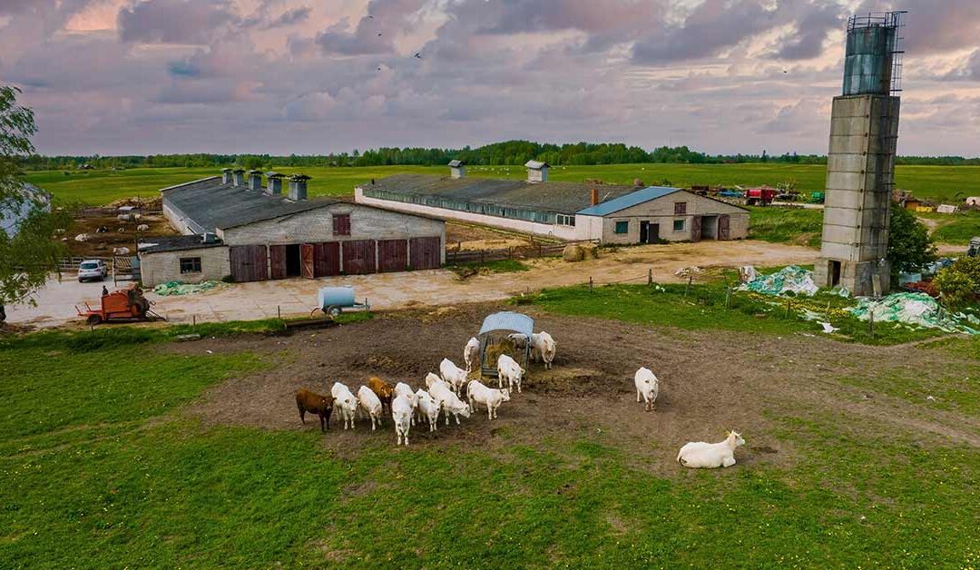 Sustainability Starts Right Here at Home with Every Choice