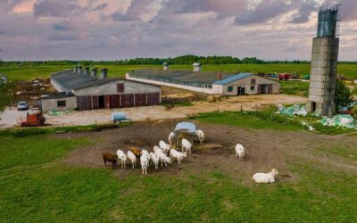 Sustainability Starts Right Here at Home with Every Choice