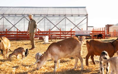 Meet Local Farmers Behind Every Harvest and Honest Product